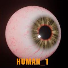 Digital Eyes Kit (Original) for DIY, Halloween and Custom Props