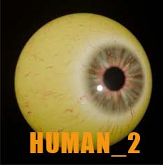 Digital Eyes Kit (Original) for DIY, Halloween and Custom Props