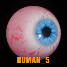 Digital Eyes Kit (Original) for DIY, Halloween and Custom Props