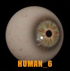 Digital Eyes Kit (Original) for DIY, Halloween and Custom Props
