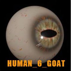 Digital Eyes Kit (Original) for DIY, Halloween and Custom Props