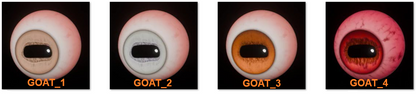 Four images labeled GOAT_1 to GOAT_4 showing different colored eyes for DmitriyCreation Digital eyes Kit