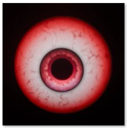  5 PRELOADED PARROT ANIMATIONS
► Cursed Amber — cream-yellow iris, orange pupil
► Rotwing Pink — pink bloodshot iris
► Dead Cataract — milky white cataract eye
► Blood Iris — red ring with purple center
► Crimson Web — deep crimson veiny web
