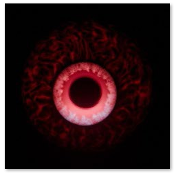 5 PRELOADED PARROT ANIMATIONS
► Cursed Amber — cream-yellow iris, orange pupil
► Rotwing Pink — pink bloodshot iris
► Dead Cataract — milky white cataract eye
► Blood Iris — red ring with purple center
► Crimson Web — deep crimson veiny web
