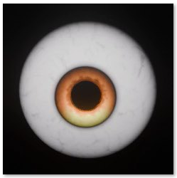 5 PRELOADED PARROT ANIMATIONS
► Cursed Amber — cream-yellow iris, orange pupil
► Rotwing Pink — pink bloodshot iris
► Dead Cataract — milky white cataract eye
► Blood Iris — red ring with purple center
► Crimson Web — deep crimson veiny web
