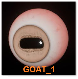 Close-up of Skin Goat Eye designed for Digital eyes from DmitriyCreations.com 'GOAT_1'