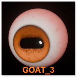 Close-up of Real Goat Eye designed for Digital eyes from DmitriyCreations.com 'GOAT_3'