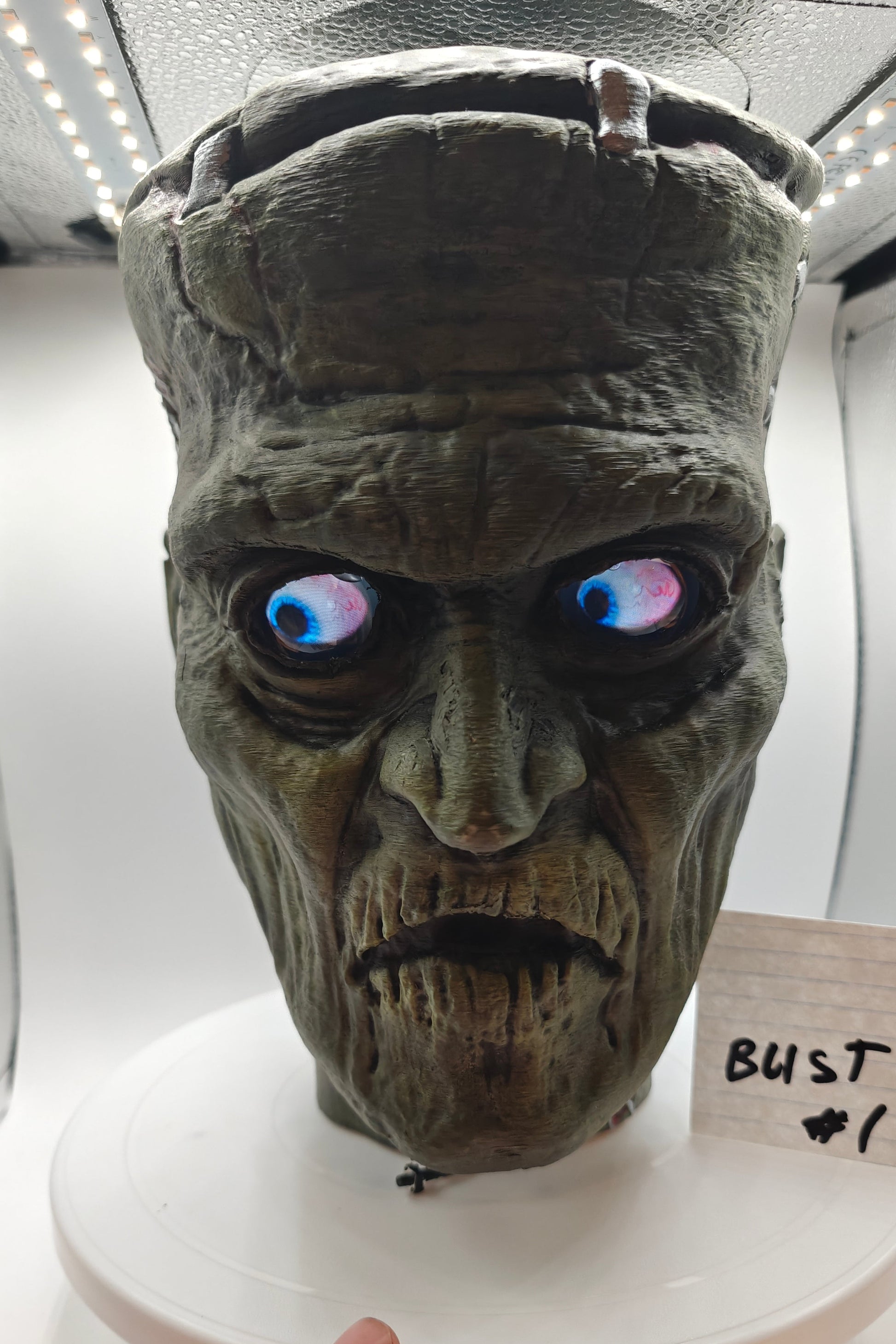 Frankenstein  Monster 3D printed  Bust with Living Mummiks Display Box  and Digital eyes kit installed. Halloween, Horror Display.