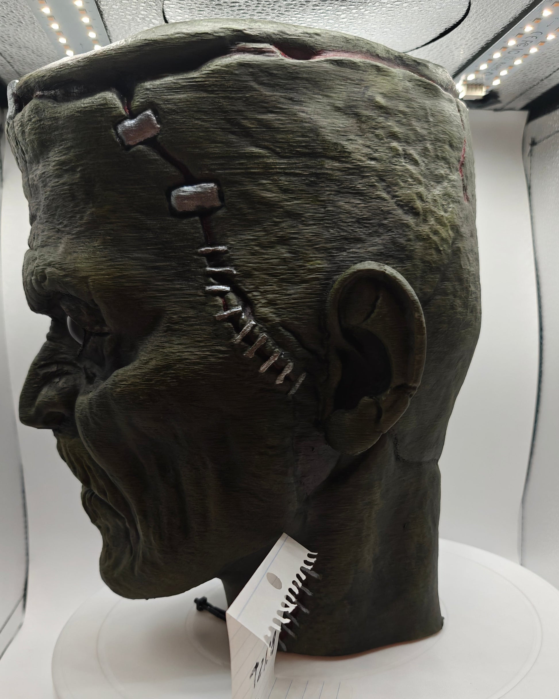 Frankenstein  Monster 3D printed  Bust with Living Mummiks Display Box  and Digital eyes kit installed. Halloween, Horror Display.