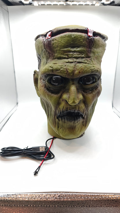 Bust 2 with USB power cord and external animation switch.