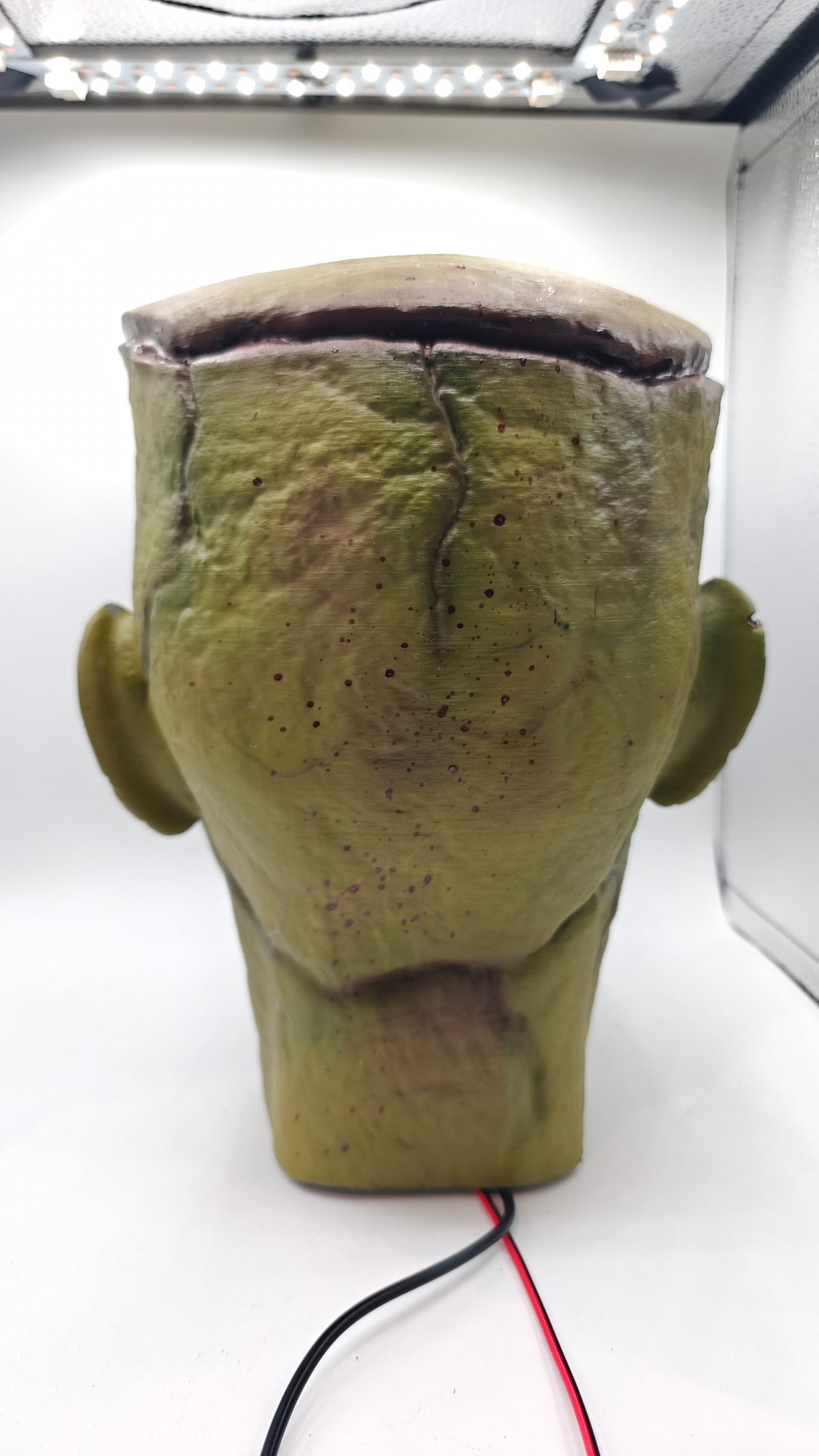 Bust 2 rear view and freestanding neck.