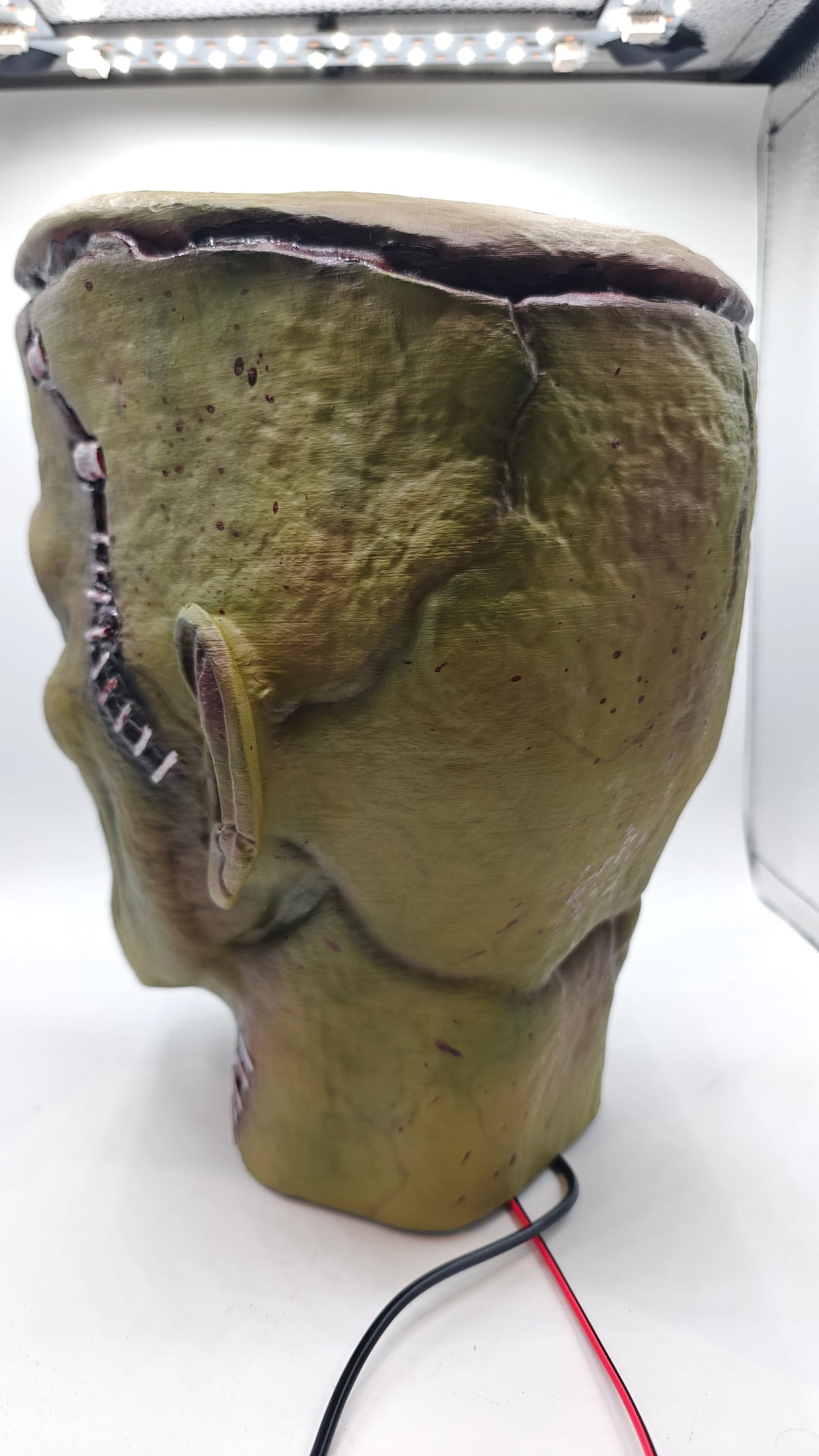 Bust 2 opposite rear three-quarter view.
