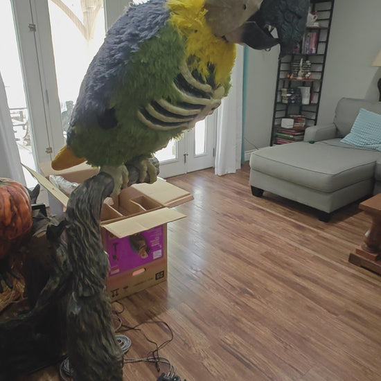 Home Depot Rotwing Parrot with DIgital Eyes from Dmitriy Creations