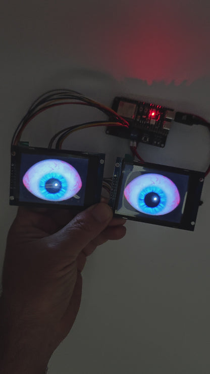 Digital Eyes Kit - 2.8inch LCD for DIY, Halloween, Ground Breaker Skeleton, Cars, Robots or ART